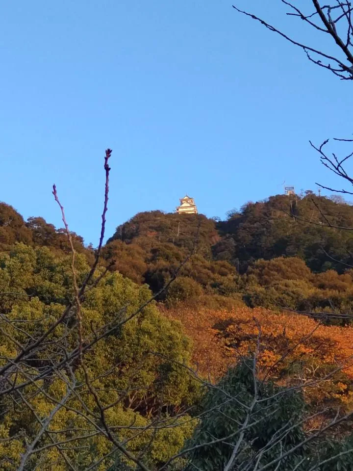 紅葉の金華山と岐阜城
