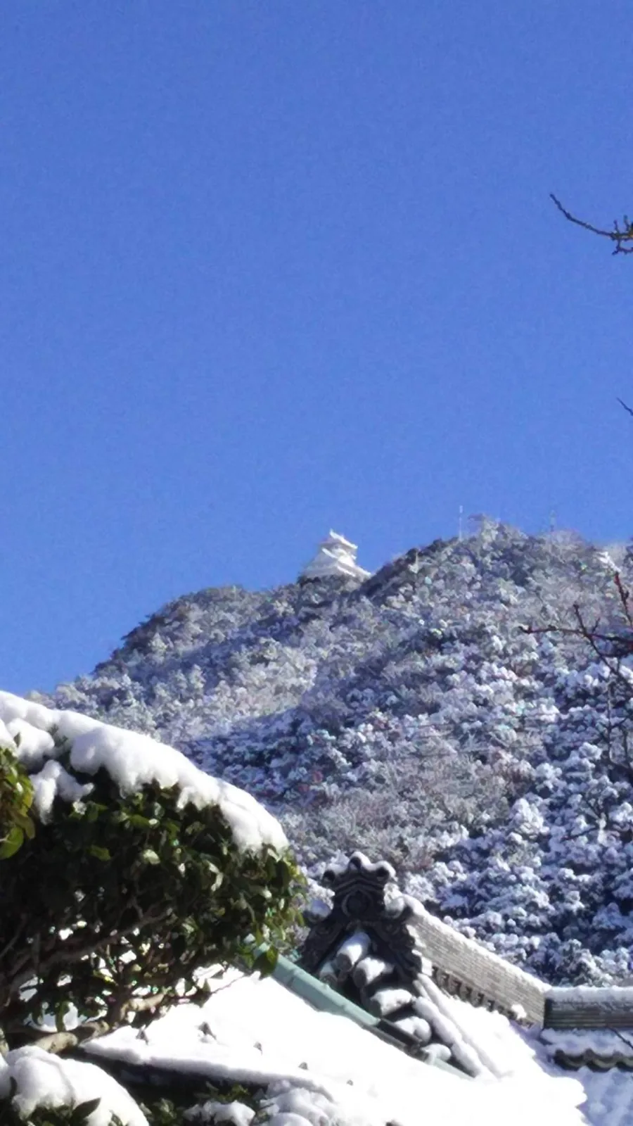 雪の金華山と屋根